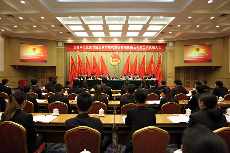 共青團(tuán)北京市燃?xì)饧瘓F(tuán)第二次代表大會勝利召開
